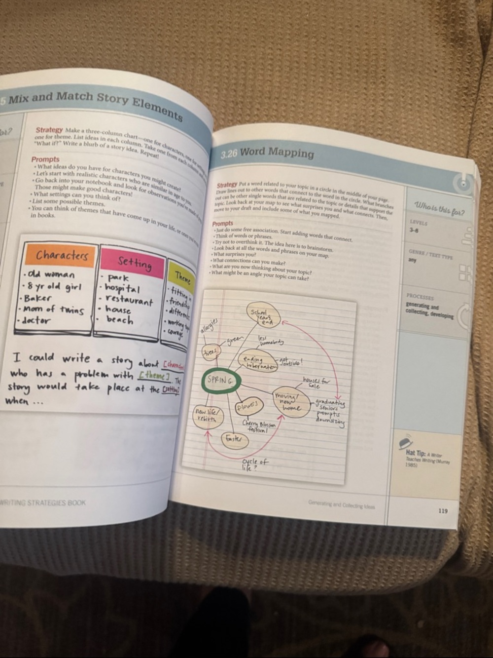 The Writing Strategies Book by Jennifer Serravallo - Green - Picture 4 of 7